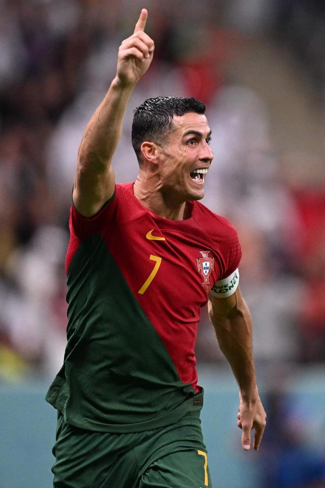 药物靶向 药物靶向