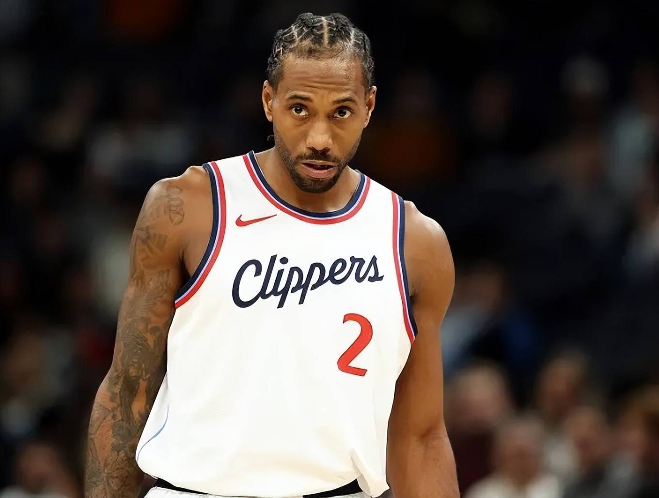 境林带搜到 境林带搜到